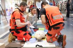 C4ac17dc Cef2 4d5b A359 3ae27577b407